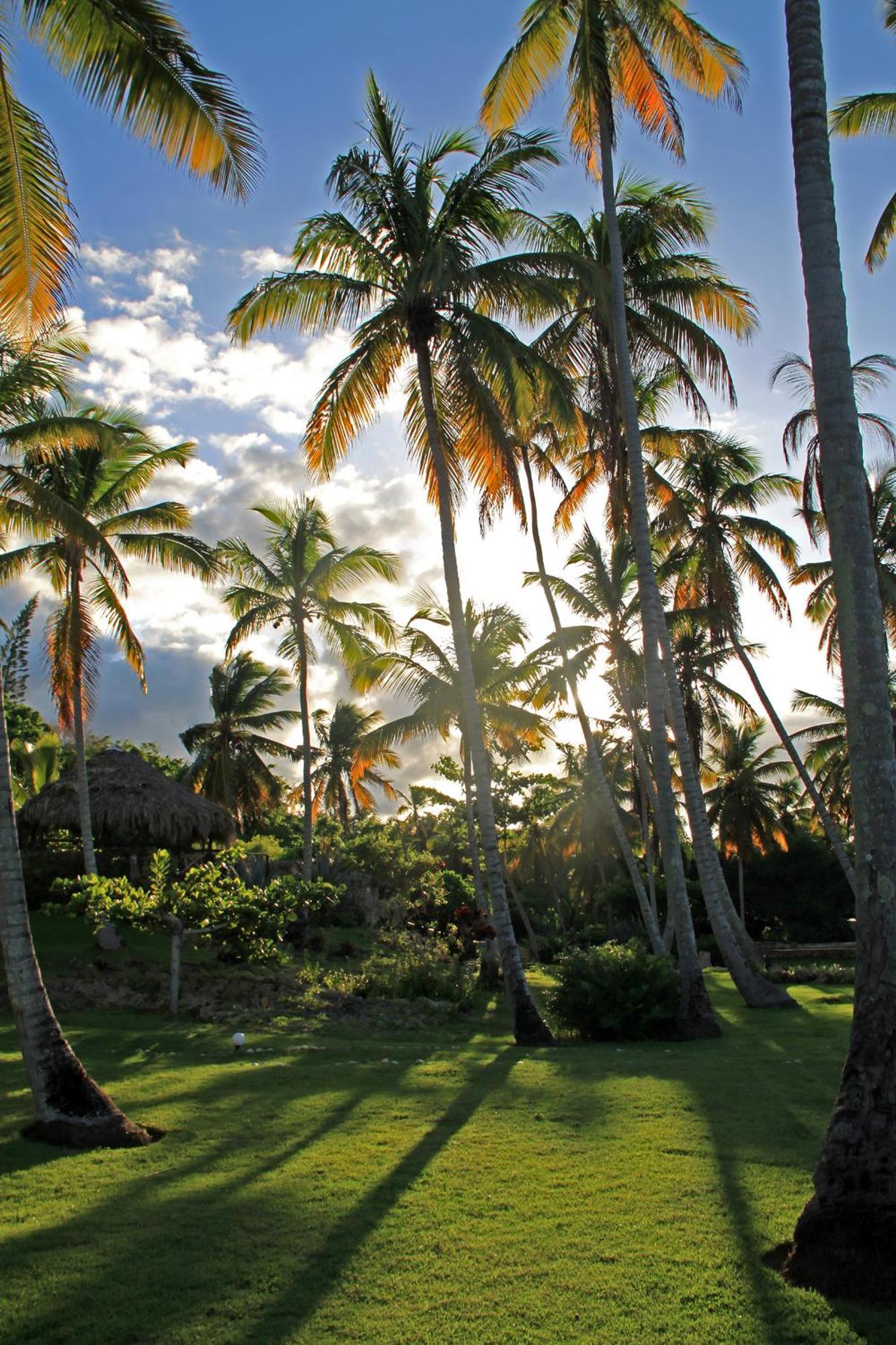 Hotel Todoblanco, Las Galeras, Samana Exterior photo